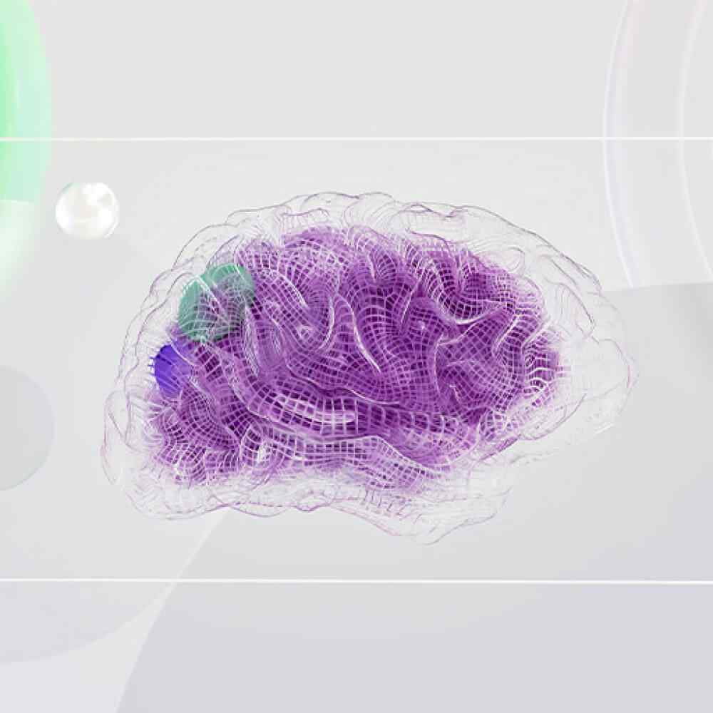 inner_image_02 https://i5forum.org/wp-content/uploads/2023/11/inner_image_02.jpg