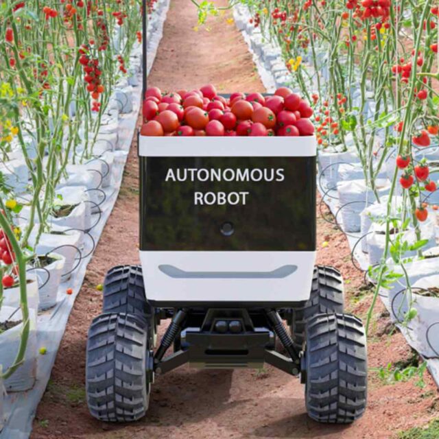 inner_link_image_02 https://i5forum.org/wp-content/uploads/2023/12/inner_link_image_02-640x640.jpg